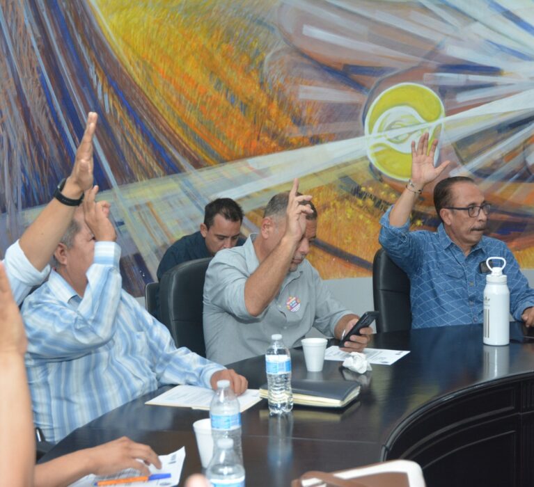 DESIGNA CABILDO A NUEVO PRESIDENTE DE COMISIÓN DE PARTICIPACIÓN CIUDADANA