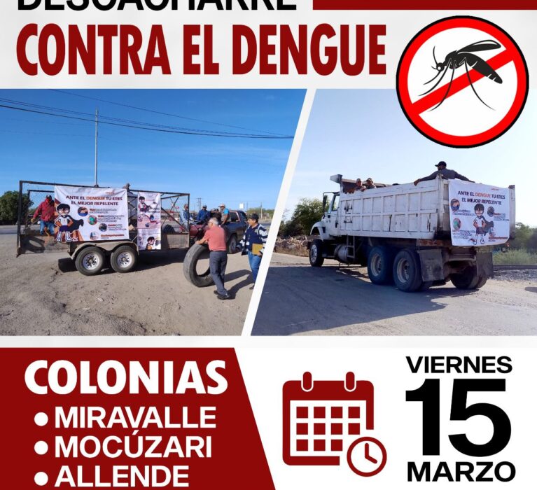 DESCACHARRE ESTE 15 DE MARZO.