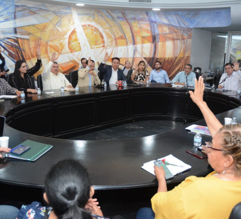APRUEBA CABILDO INTEGRACIÓN DEL COMITÉ CIUDADANO DE SEGURIDAD PÚBLICA