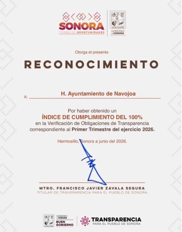NAVOJOA TRANSPARENTE